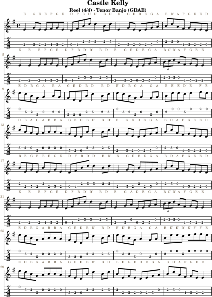 Castle Kelly in E Minor — Reel | Tenor Banjo TAB & D Whistle Fingering