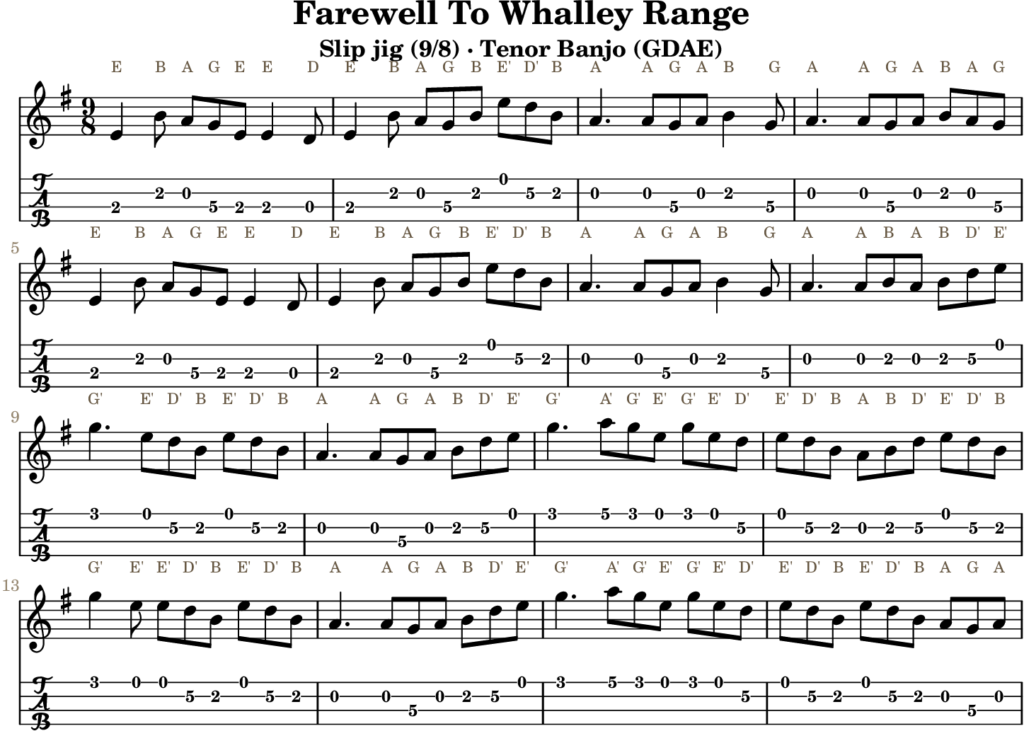 Farewell To Whalley Range in E Minor — Slip Jig | Tenor Banjo TAB & D Whistle Fingering