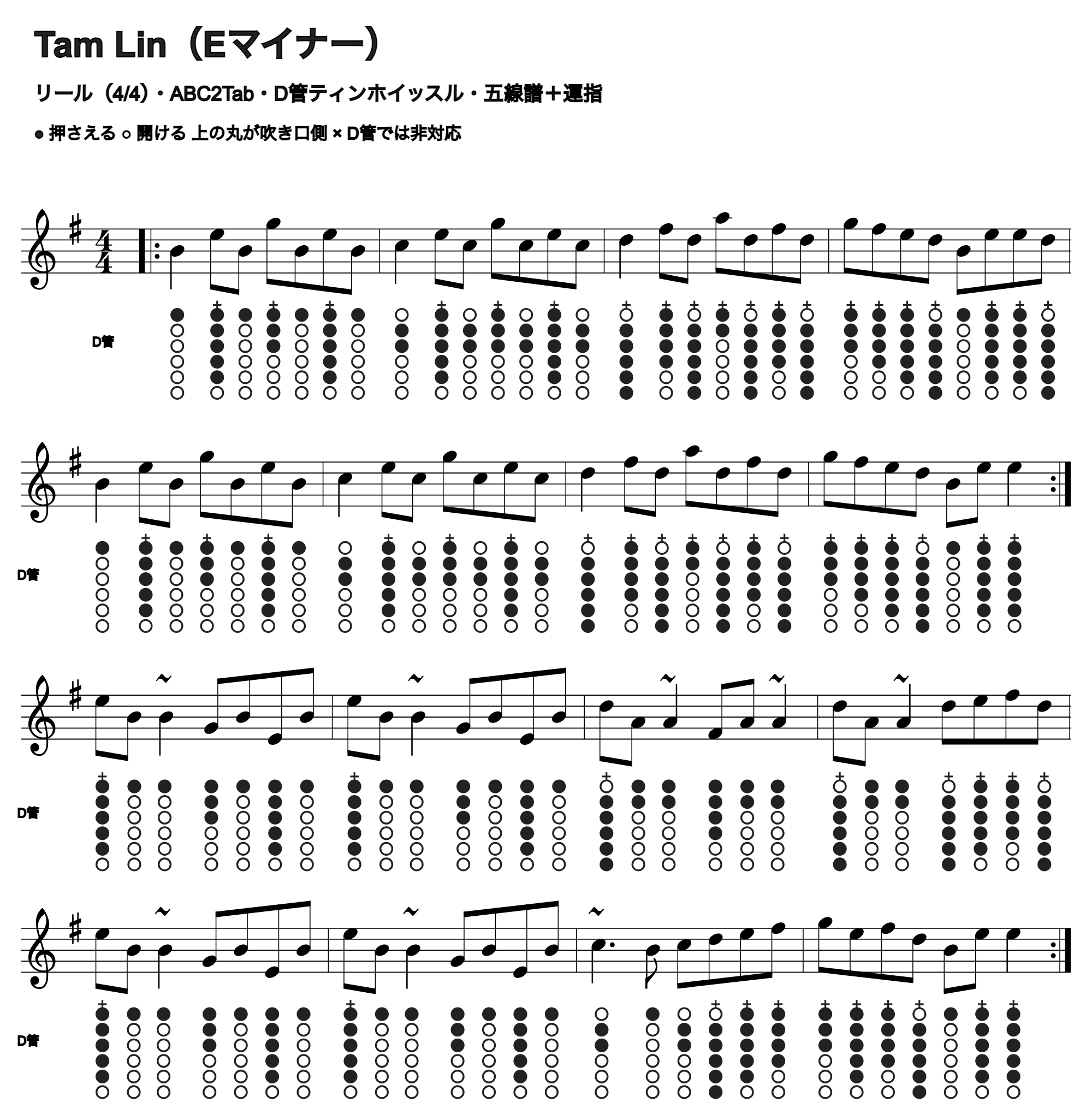 Tam Linの五線譜とD管ホイッスル運指、1段4小節