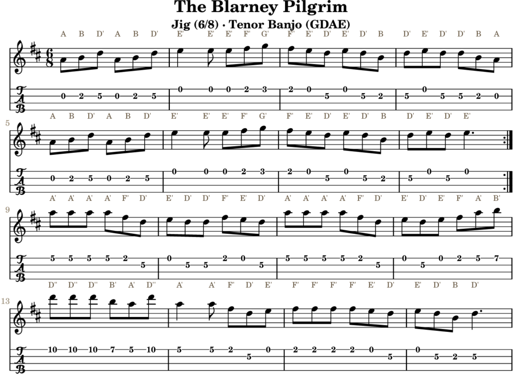The Blarney Pilgrim in D Major — Jig | Tenor Banjo TAB & D Whistle Fingering
