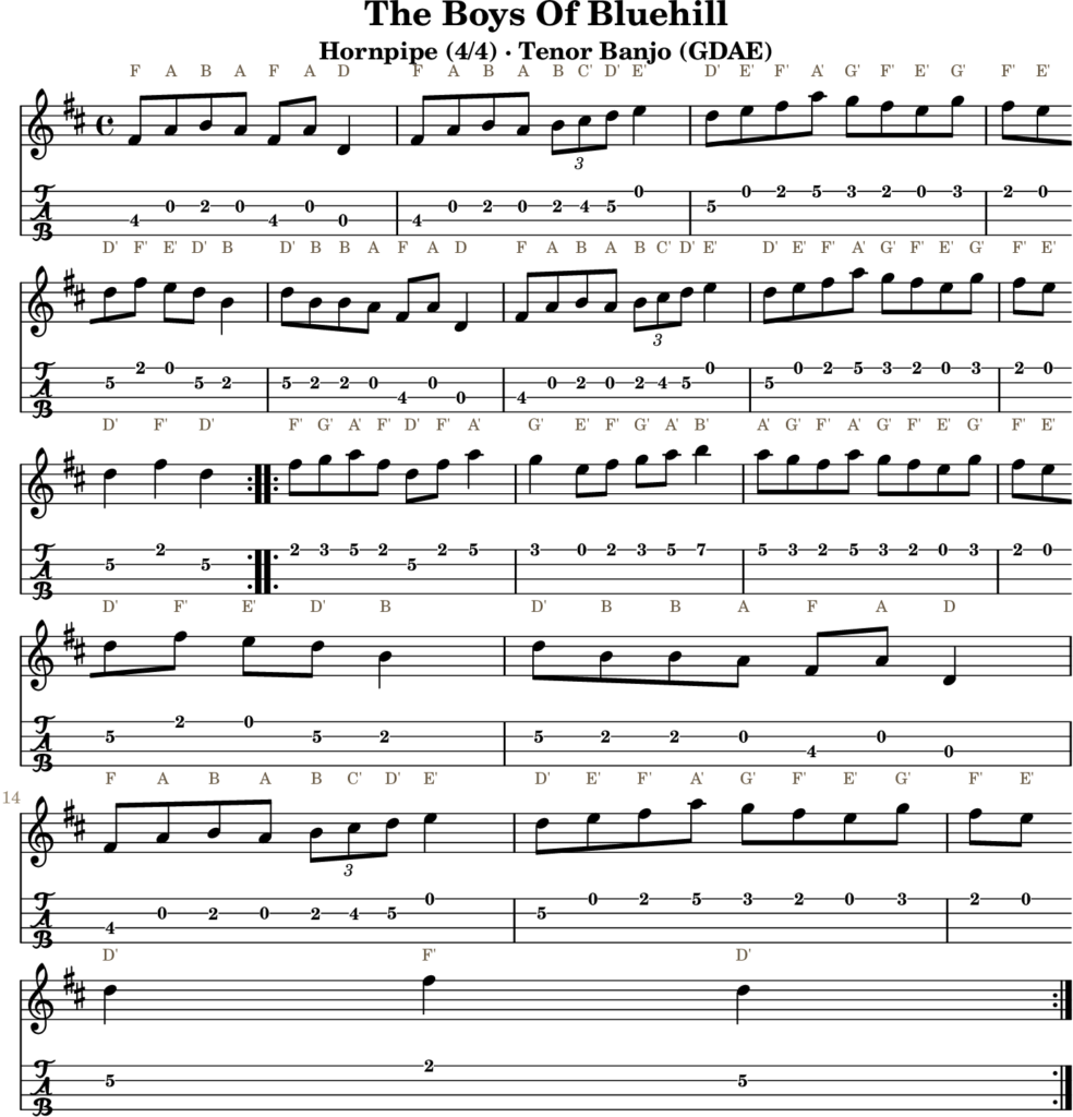 The Boys Of Bluehill in D Major — Hornpipe | Tenor Banjo TAB & D Whistle Fingering