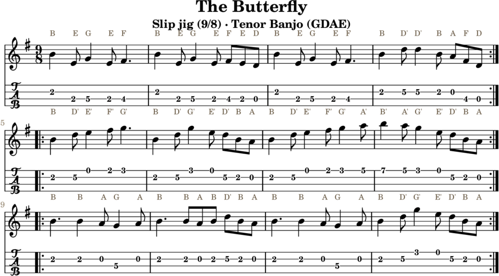The Butterfly in E Minor — Slip Jig | Tenor Banjo TAB & D Whistle Fingering