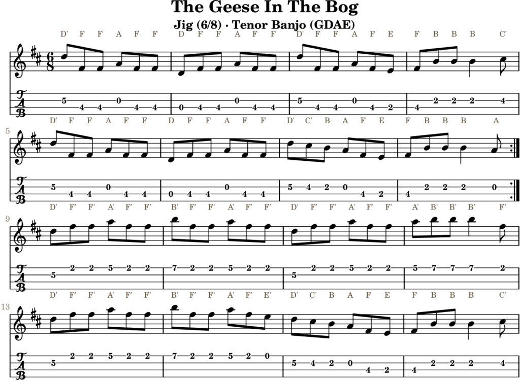 The Geese In The Bog in D Major — Jig | Tenor Banjo TAB & D Whistle Fingering