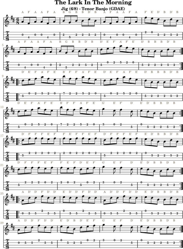 The Lark In The Morning in D Major — Jig | Tenor Banjo TAB & D Whistle Fingering