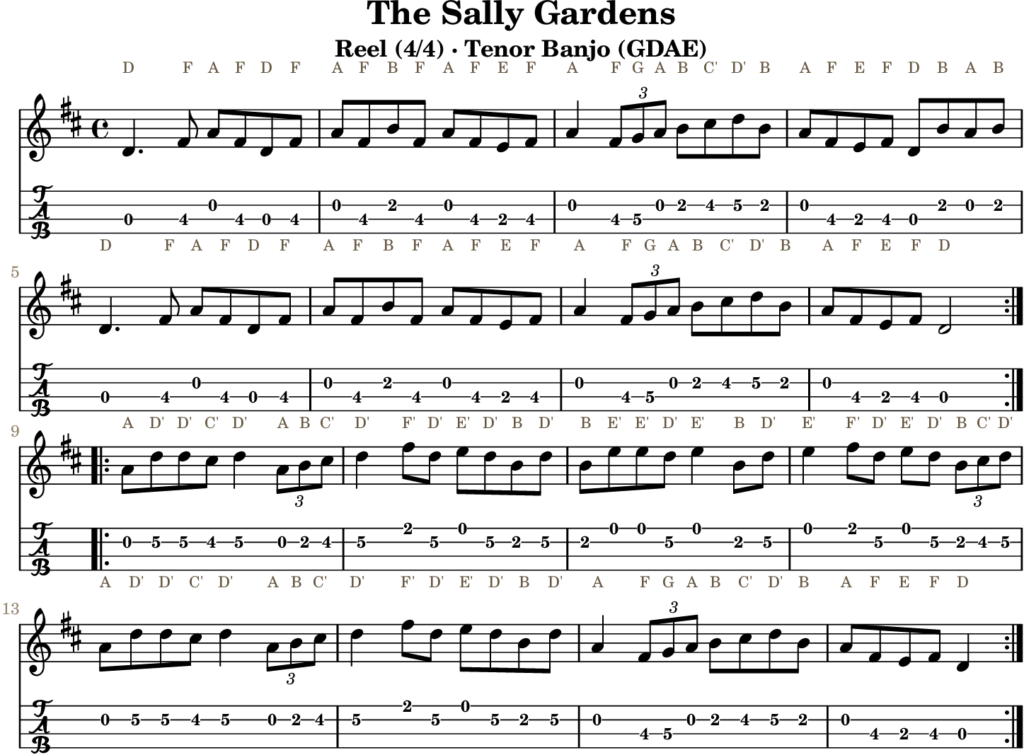 The Sally Gardens in D Major — Reel | Tenor Banjo TAB & D Whistle Fingering