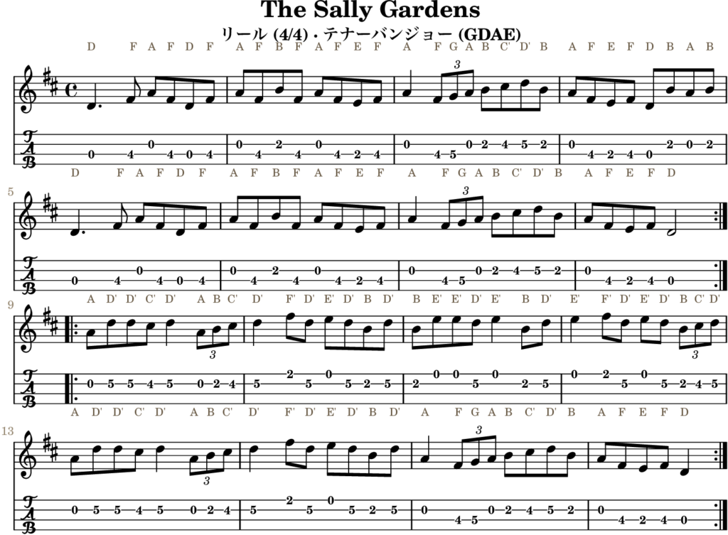 The Sally Gardens(Dメジャー・Reel)|バンジョーTABとD管ホイッスル運指