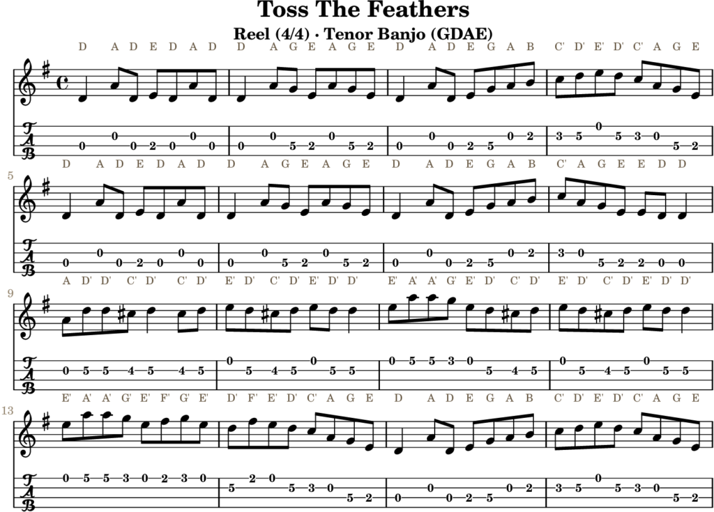 Toss The Feathers in D Mixolydian — Reel | Tenor Banjo TAB & D Whistle Fingering