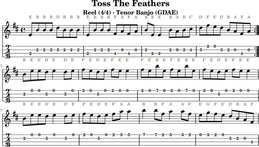 Toss The Feathers in E Dorian — Reel | Tenor Banjo TAB & D Whistle Fingering