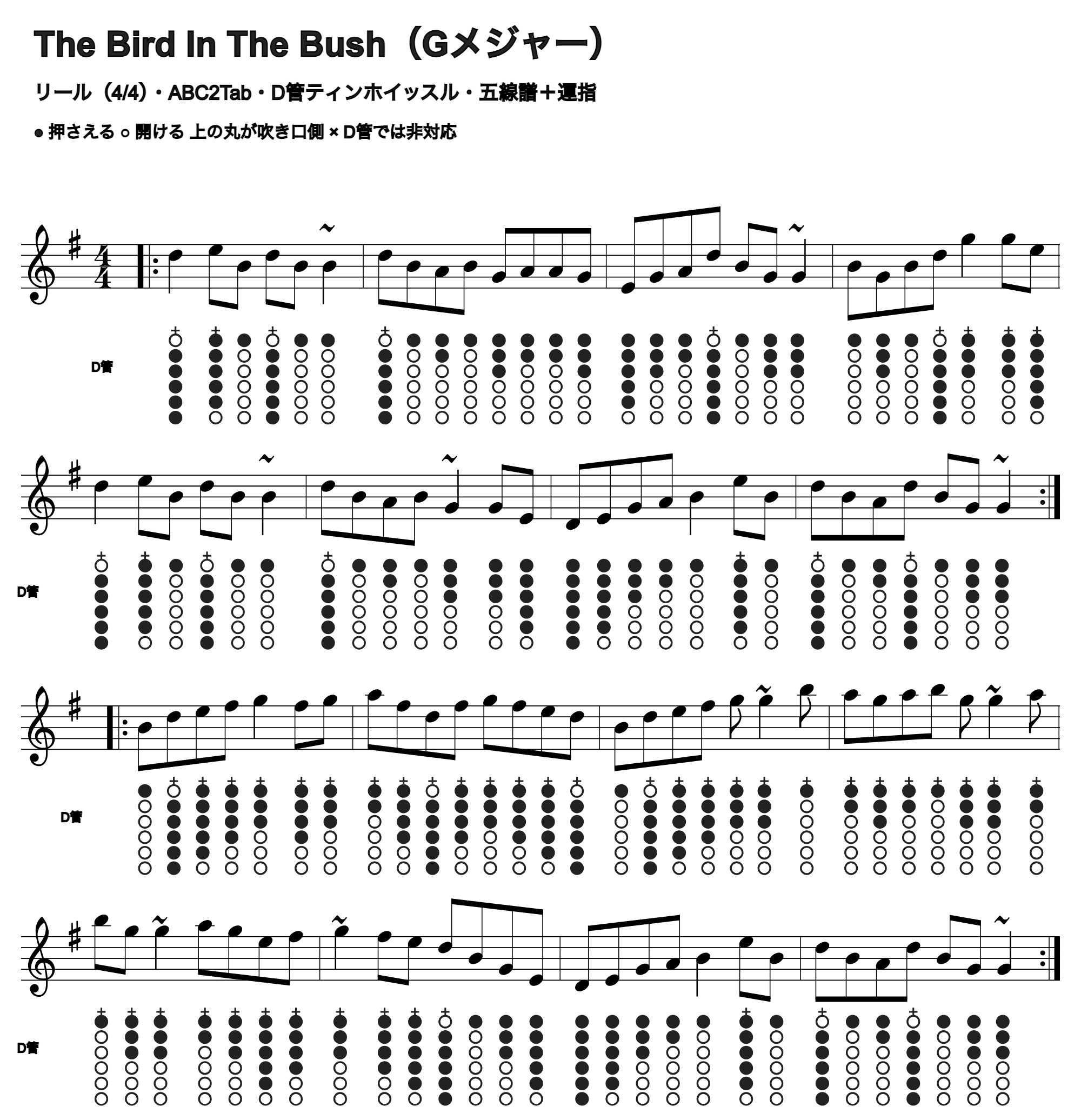 The Bird In The Bushの五線譜とD管ホイッスル運指、1段4小節