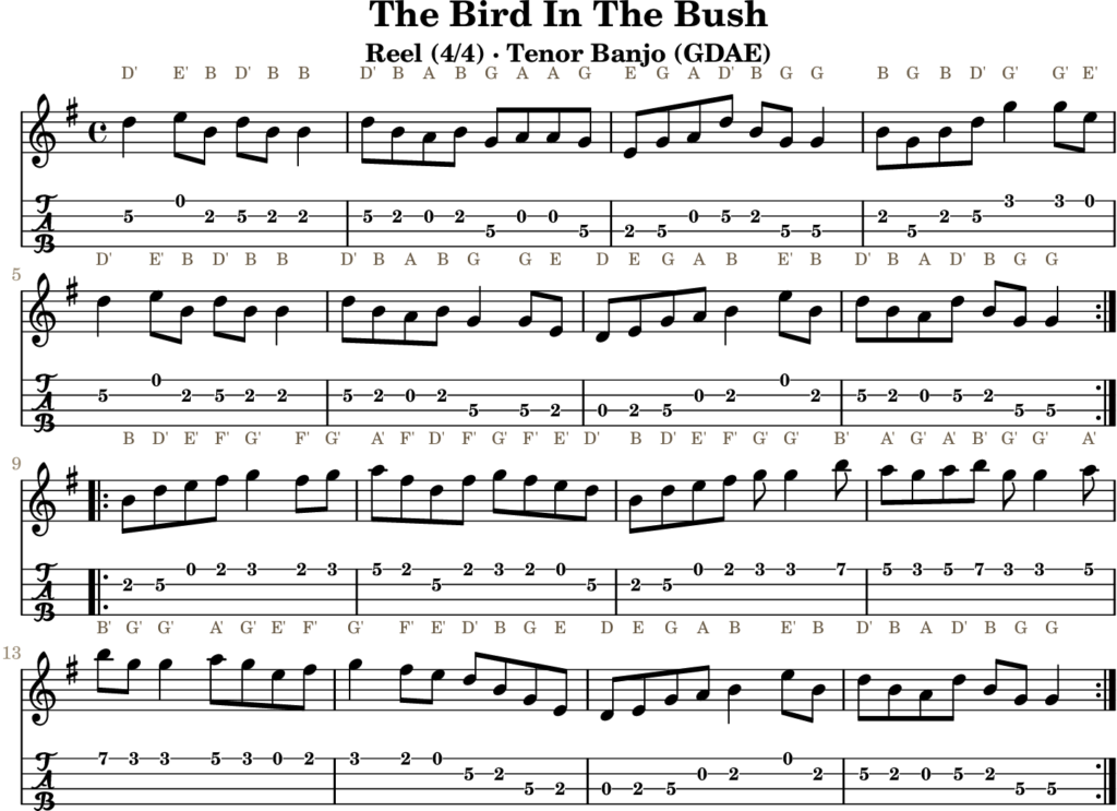 The Bird In The Bush in G Major — Reel | Tenor Banjo TAB & D Whistle Fingering