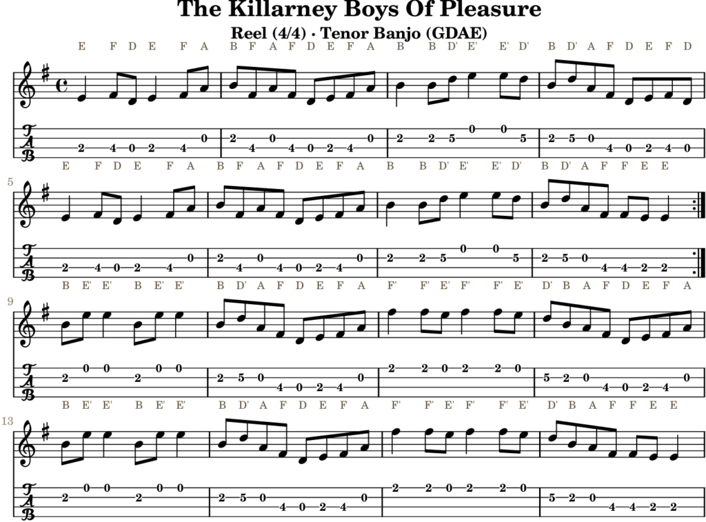 The Killarney Boys Of Pleasure in E Minor — Reel | Tenor Banjo TAB & D Whistle Fingering