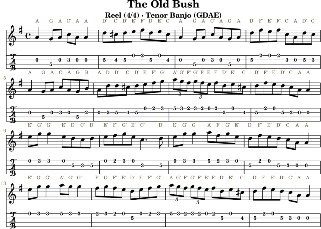 The Old Bush in D Mixolydian — Reel | Tenor Banjo TAB & D Whistle Fingering