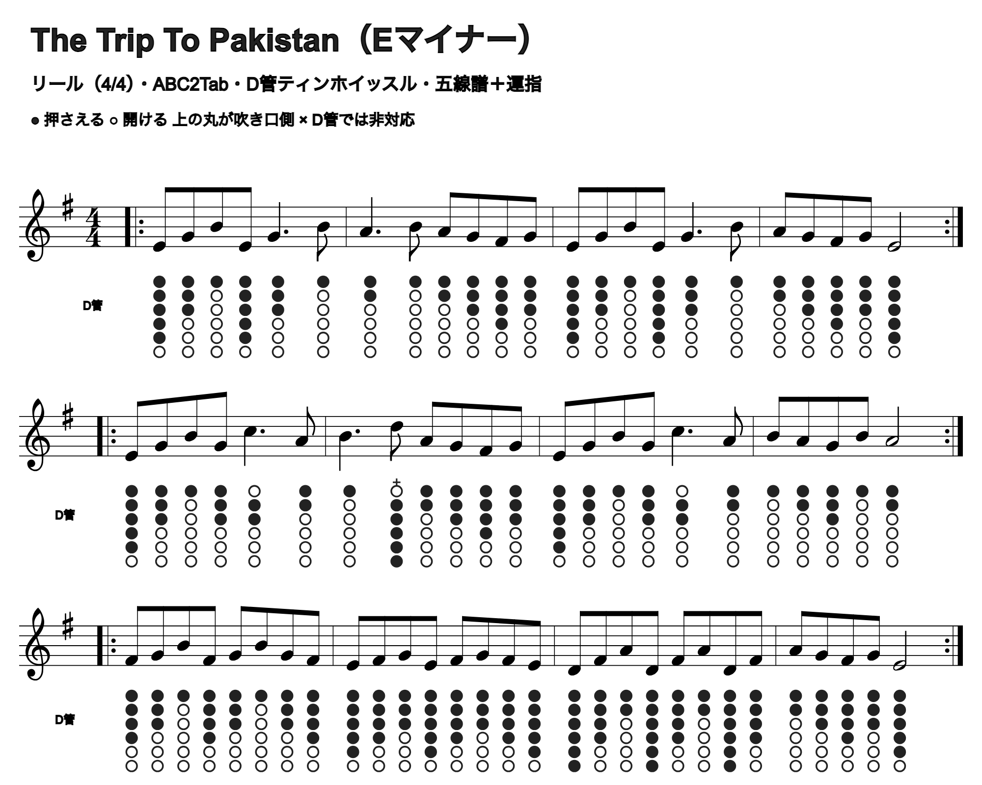 The Trip To Pakistanの五線譜とD管ホイッスル運指、1段4小節