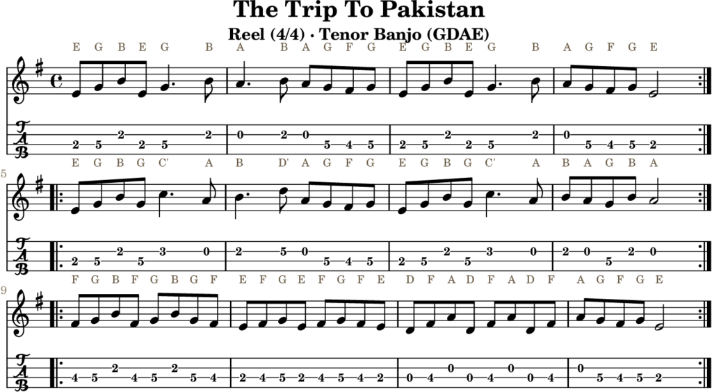 The Trip To Pakistan in E Minor — Reel | Tenor Banjo TAB & D Whistle Fingering