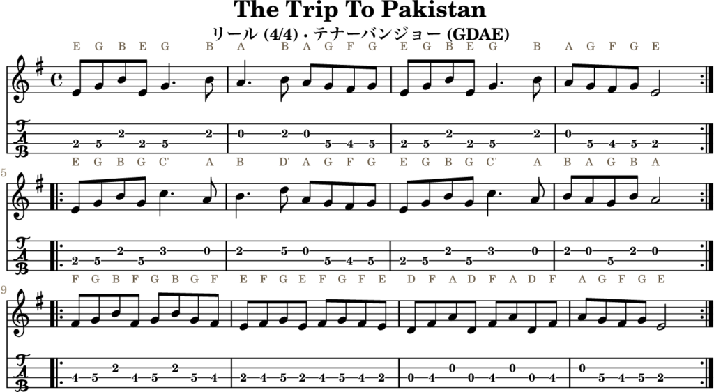 The Trip To Pakistan（Eマイナー・Reel）｜バンジョーTABとD管ホイッスル運指