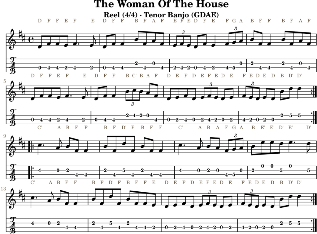 The Woman Of The House in D Major — Reel | Tenor Banjo TAB & D Whistle Fingering